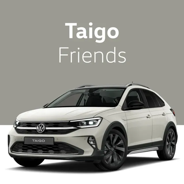 friends_Taigo.webp